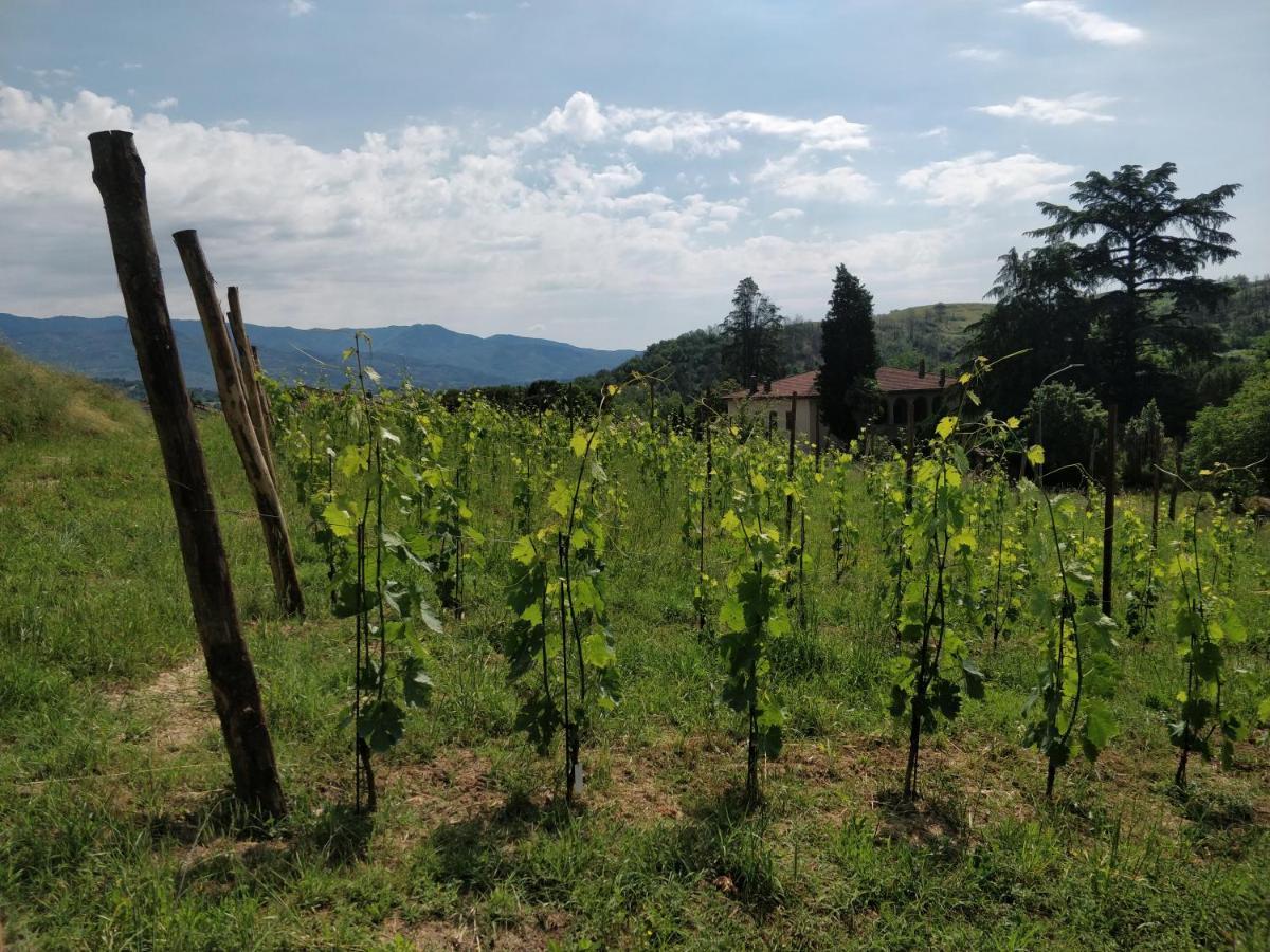 La Valle B&B Кавриля Екстериор снимка
